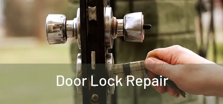  Door Lock Repair 